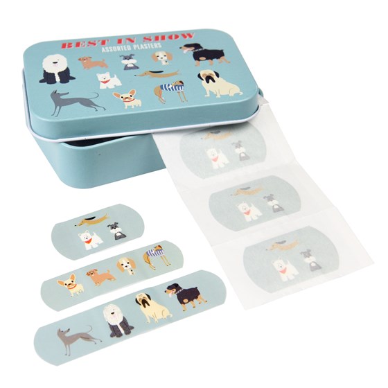 BEST IN SHOW PLASTERS IN A TIN