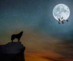 Silhouette of a lone wolf standing on a cliff at dusk with a glowing full moon and flying birds in the twilight sky.