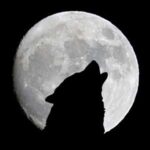 Silhouette of a howling wolf in front of a large full moon on a black background.