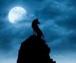 Silhouette of a lone wolf howling on a cliff beneath a glowing full moon and cloudy twilight sky.