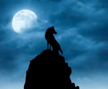 Silhouette of a lone wolf howling on a cliff beneath a glowing full moon and cloudy twilight sky.