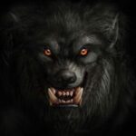 Snarling werewolf with glowing red eyes and sharp fangs emerging from shadows on a black background.