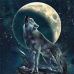 Howling wolf standing on a rock under a glowing full moon in a starlit cosmic night sky.