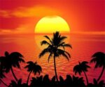 Tropical island sunset with palm tree silhouettes against a vivid orange and red sky