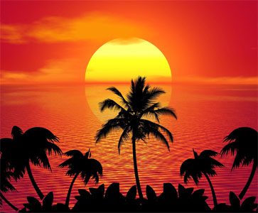 Tropical island sunset with palm tree silhouettes against a vivid orange and red sky