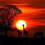 Giraffes and wildlife silhouetted against a vibrant African sunset with acacia trees