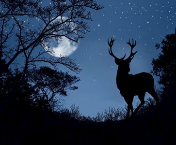 Silhouette of a deer stag under a starry night sky and full moon in a forest clearing