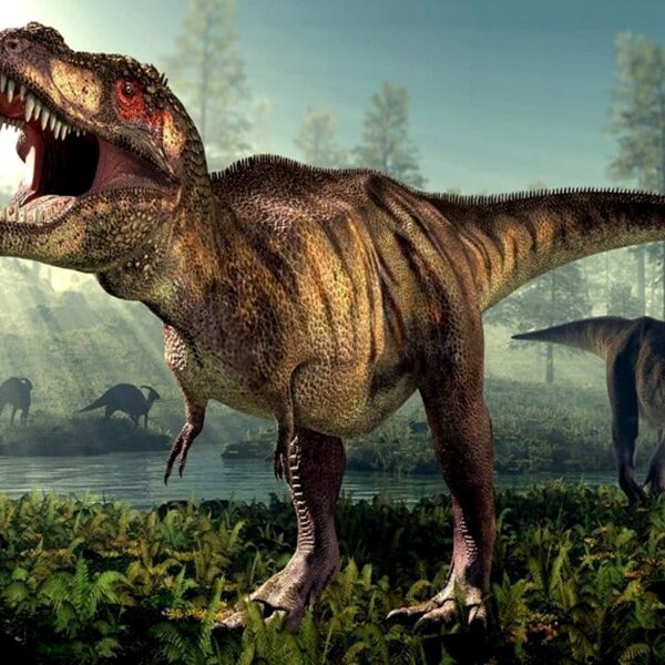 Roaring T. rex in a sunlit prehistoric forest with dinosaurs grazing in the background