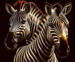 Artistic image of two zebras with illuminated stripes in a bold wildlife design