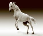 Beautiful black and white image of a horse in motion, showcasing its graceful movement, perfect for LED box frame art.