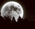 Full moon glowing behind silhouetted treetops against a star-speckled night sky
