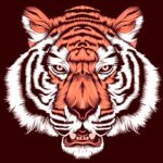 Fierce illustrated tiger head in bold orange and white with intense symmetrical lines on dark red background