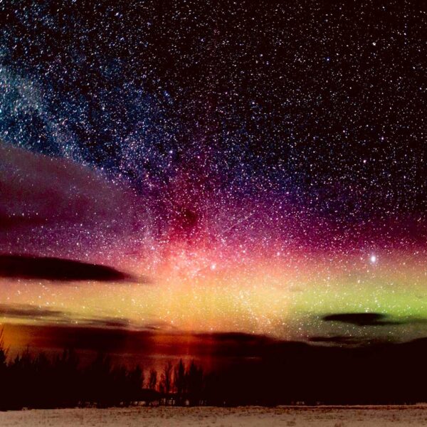 A vibrant northern lights display in green, purple, and gold beneath a galaxy of stars and silhouetted treetops