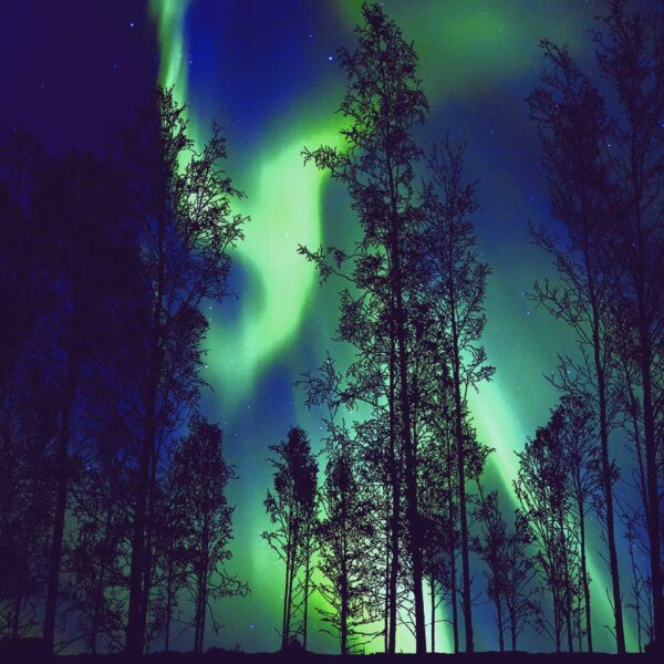 Vibrant Northern Lights display framed in LED Box Frame, showcasing a breathtaking natural phenomenon with tree silhouettes.