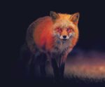Red fox at twilight – illuminated wildlife LED lightbox design