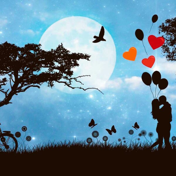 A romantic scene under the moon with a couple holding hands and releasing heart-shaped balloons, surrounded by trees, a bicycle, and fluttering butterflies, captured in an LED Box Frame.