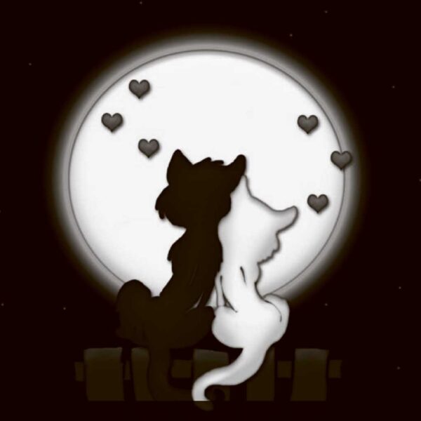 Two silhouette cats sitting together under a glowing moon with heart-shaped stars floating above them, captured in a charming LED Box Frame.