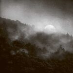 A foggy forest under moonlight with trees silhouetted in the mist and a full moon in the background