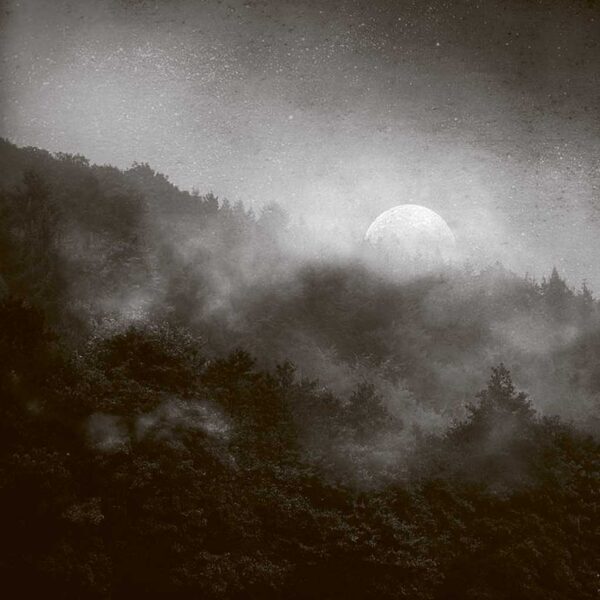 A foggy forest under moonlight with trees silhouetted in the mist and a full moon in the background