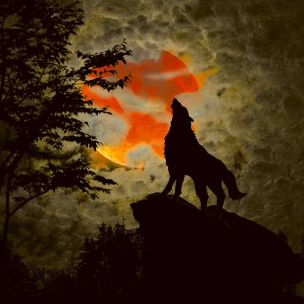 A wolf howling at a glowing moon, framed in an energy-efficient LED Box Frame for stunning ambiance.