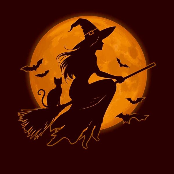Witch 1-Moon flying witch on broomstock